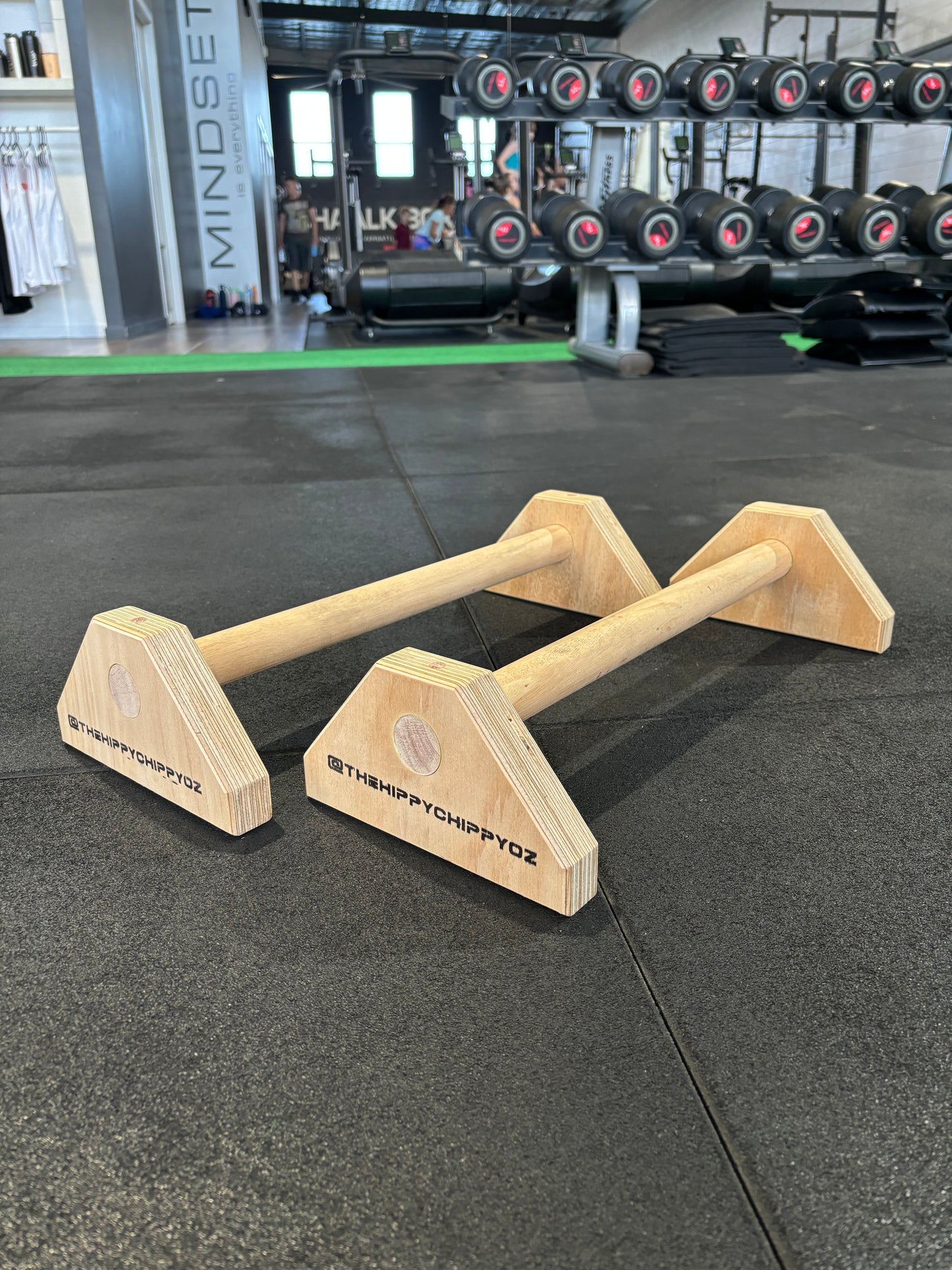 Handstand Parallette Pro-Series- The Pro-Master" Set