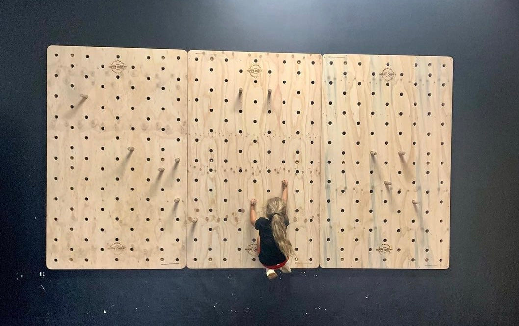 CrossFit training peg board